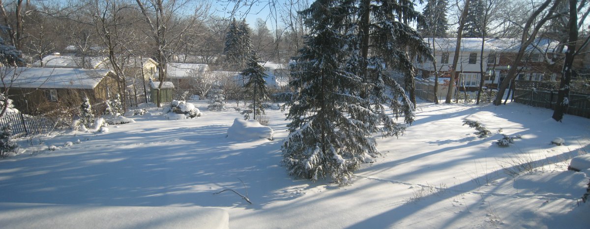 Backyard_stretch-Winter